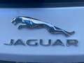 Jaguar F-Pace R-Sport 2,0 Allrad Autom. Exclusiv Panorama Weiß - thumbnail 8