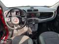 Fiat Panda 1.3 Mjet 95 Cv 4x4 5 POSTI Lounge - Bluetooth, Ce Rojo - thumbnail 7
