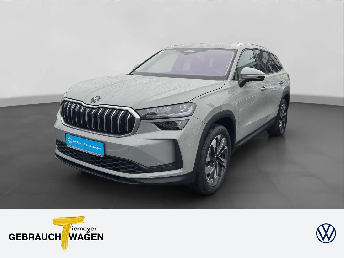 Skoda Kodiaq 1.5 TSI DSG SELECTION 7-SITZE LM19 MEMORY Серый - 1