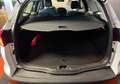 Ford Focus BREAK 1.0 ECOBOOST 125 TITANIUM-X %2B CAMÉRA DE RECUL Blanc - thumbnail 16