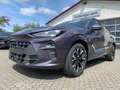 CUPRA Terramar DSG AHK HeadUp App 2+3-Garantie SOFORT Burdeos - thumbnail 27