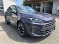 CUPRA Terramar DSG AHK HeadUp App 2+3-Garantie SOFORT Violett - thumbnail 25