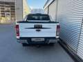 Ford Ranger Doppelkabine Limited 4x4 3,2 TDCi Weiß - thumbnail 10