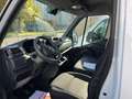 Renault Master T35 2.3 dci 130 CV L3 H2 Ice Bianco - thumbnail 10