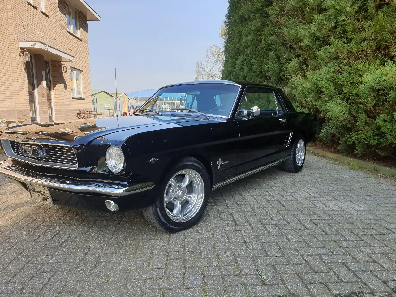 Ford Mustang 1966 Coupé 289 V8 automaat, foto 7