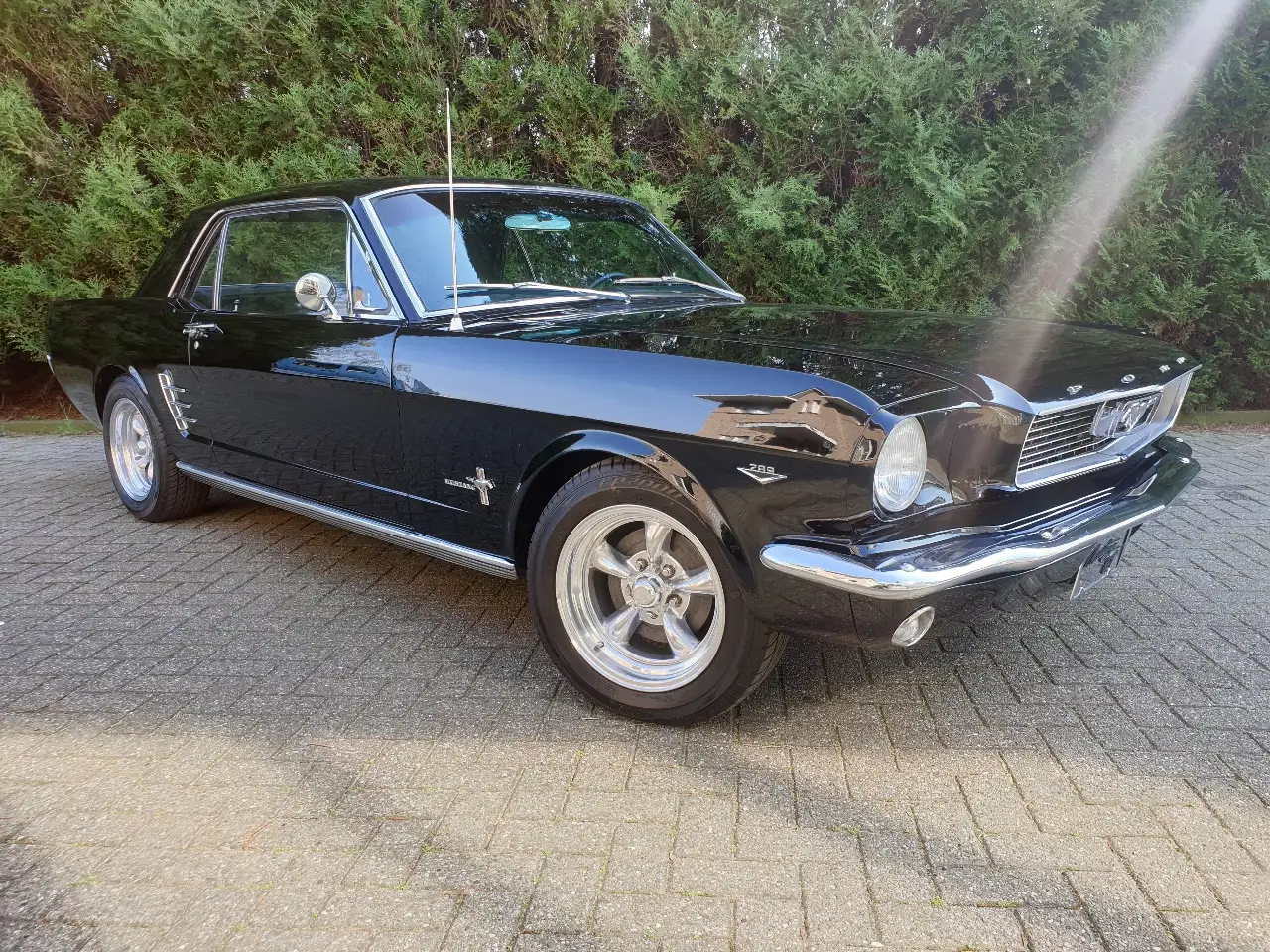 Ford Mustang 1966 Coupé 289 V8 automaat, foto 5