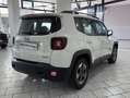 Jeep Renegade Renegade 1.6 mjt Business fwd 120cv auto Blanc - thumbnail 4