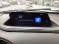 Mazda CX-30 e-SKYACTIV X Selection/360°/HuD/ACC/Matrix Grau - thumbnail 10