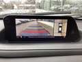 Mazda CX-30 e-SKYACTIV X Selection/360°/HuD/ACC/Matrix Grau - thumbnail 12