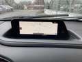 Mazda CX-30 e-SKYACTIV X Selection/360°/HuD/ACC/Matrix Grau - thumbnail 11