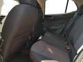 Skoda Fabia Selection 1,0 TSI  DSG 85KW/116PS 5 Jahre Garan... Grigio - thumbnail 12