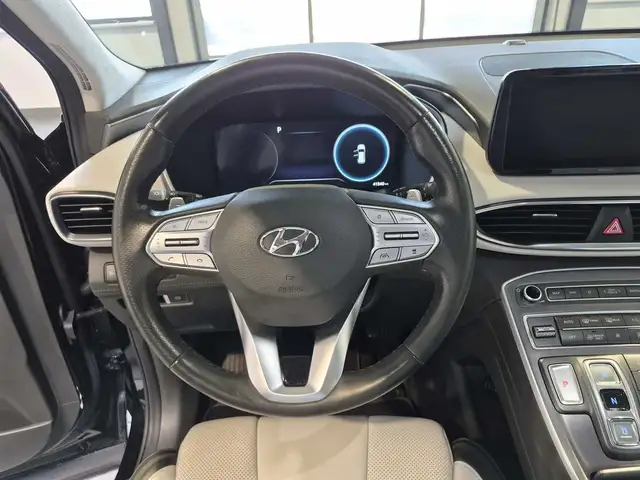 Hyundai Santa FE view 10