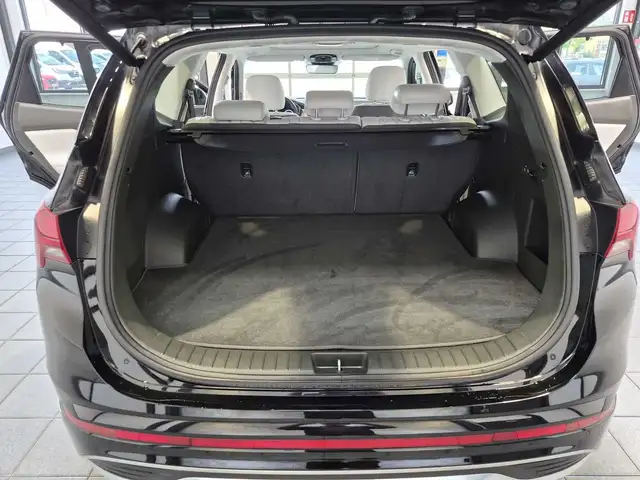 Hyundai Santa FE view 6
