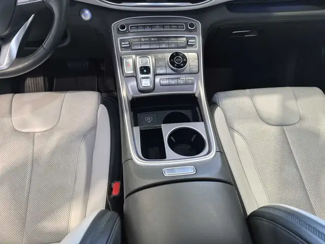 Hyundai Santa FE view 12