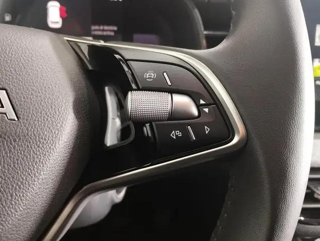 Skoda Kamiq view 15