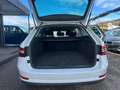 Skoda Superb Kombi 2,0 TDI Ambition LED-ACC-AHK Weiß - thumbnail 7
