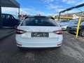 Skoda Superb Kombi 2,0 TDI Ambition LED-ACC-AHK Weiß - thumbnail 5