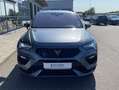 CUPRA Ateca 2.0 TSI DSG 4-DRIVE Limited 20"-KUPFER+BRE Grau - thumbnail 7
