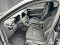 Skoda Fabia Monte Carlo TSI DSG Grau - thumbnail 8