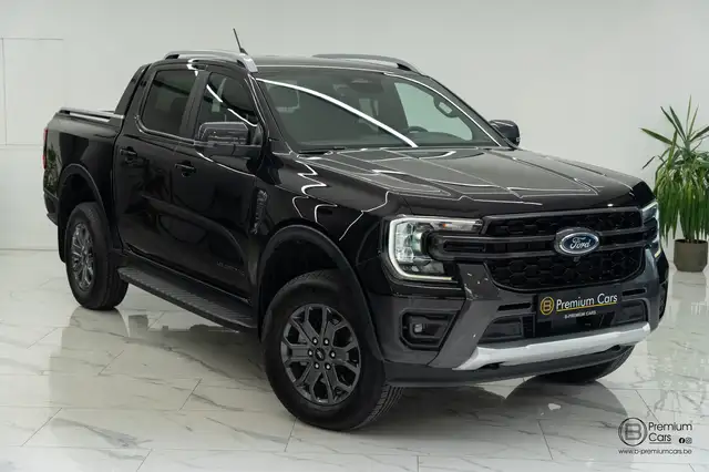 Ford Ranger view 7