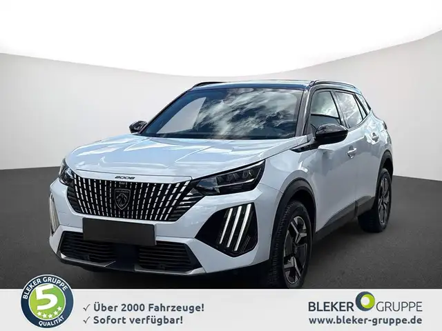 Peugeot 2008 main image