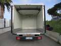 Iveco Daily 35C15 3000 150CV E5 FRIGO ATP FRCX 08/2025 7 PEDAN Blanc - thumbnail 8