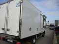 Iveco Daily 35C15 3000 150CV E5 FRIGO ATP FRCX 08/2025 7 PEDAN Blanc - thumbnail 5