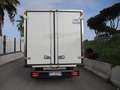 Iveco Daily 35C15 3000 150CV E5 FRIGO ATP FRCX 08/2025 7 PEDAN Blanc - thumbnail 6