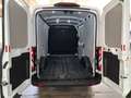 Ford TRANSIT 2.0 TDCI Bianco - thumbnail 6