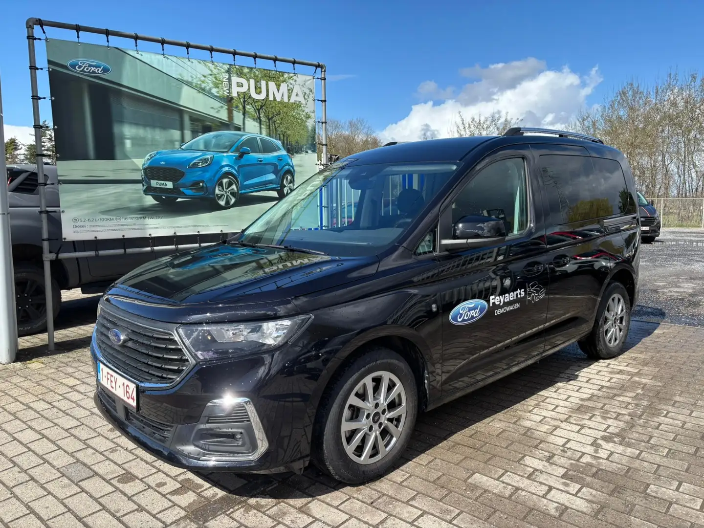 ford tourneo