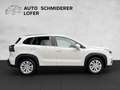Suzuki S-Cross 1,4 DITC 6MT Hybrid 48V ALLGRIP shine Weiß - thumbnail 6