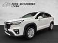 Suzuki S-Cross 1,4 DITC 6MT Hybrid 48V ALLGRIP shine Weiß - thumbnail 1
