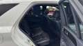 Mercedes-Benz ML 350 350CDI 4M Aut. Blanco - thumbnail 17