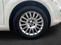 Fiat Punto 1,3 MultiJet II 95 Easy Weiß - thumbnail 4