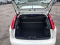 Fiat Punto 1,3 MultiJet II 95 Easy Weiß - thumbnail 13