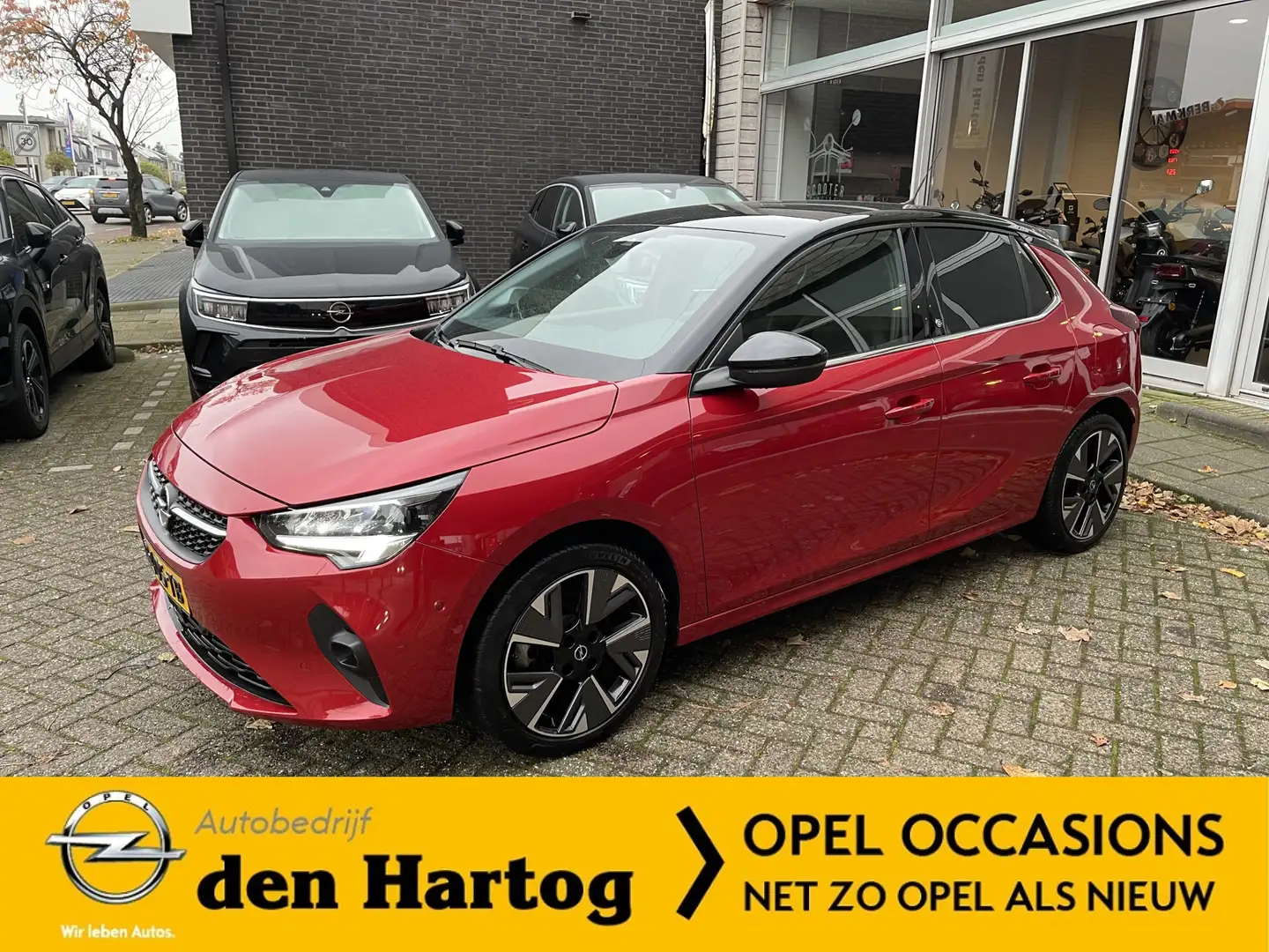 Opel Corsa-e Elegance 50 kWh Dodehoek sensor/ECC/Adaptieve crui Rood - 1