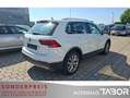 Volkswagen Tiguan 2.0 TSI 4M DSG Highline AHK LED el.Heckkl - thumbnail 3
