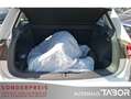 Volkswagen Tiguan 2.0 TSI 4M DSG Highline AHK LED el.Heckkl - thumbnail 11