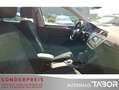 Volkswagen Tiguan 2.0 TSI 4M DSG Highline AHK LED el.Heckkl - thumbnail 8