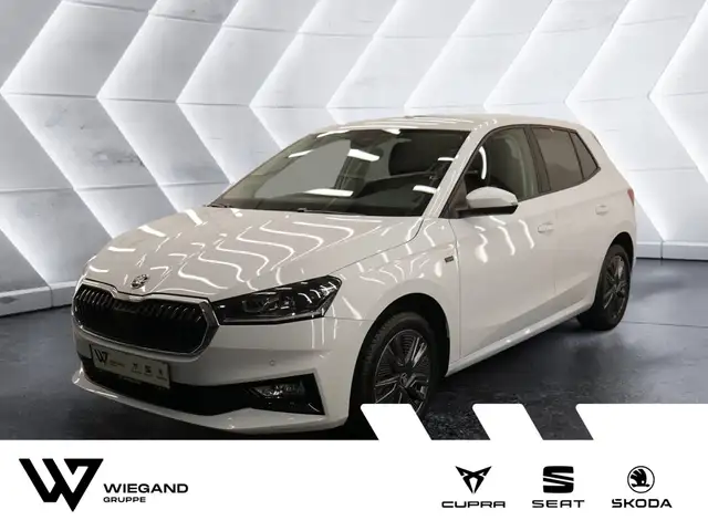 Skoda Fabia 1.0 TSI DSG Tour SHZ KAMERA NAVI LED