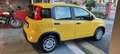 Fiat Panda 1.0 FireFly S&S Hybrid DA €10650 CON ROTTAMAZIONE - thumbnail 20