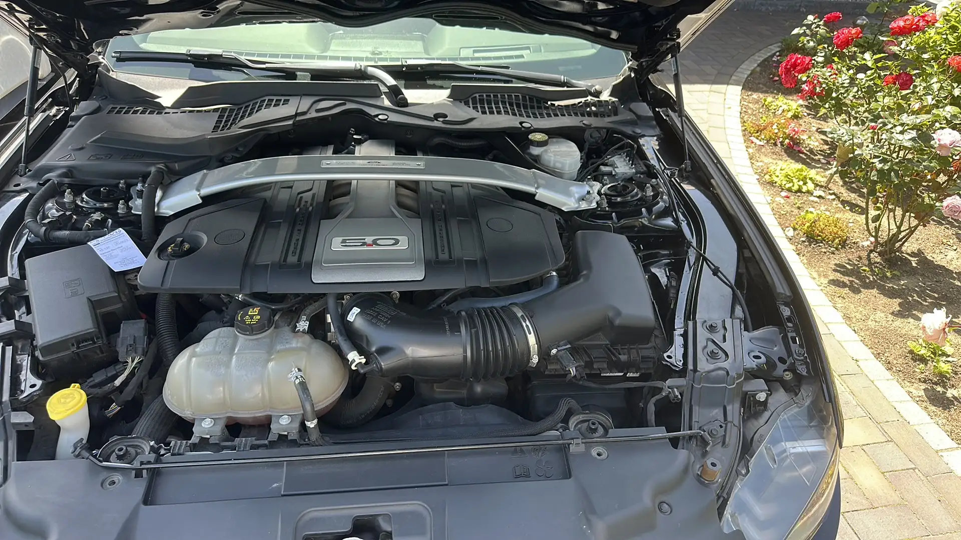 Ford Mustang Fastback 5.0 V8 GT Lackierung Neu Checkheft - 2