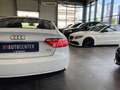 Audi A5 Sportback 2.0 TDI *TEMPOMAT*NAVI*KLIMA*SZHZ* White - thumbnail 26
