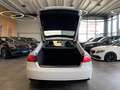 Audi A5 Sportback 2.0 TDI *TEMPOMAT*NAVI*KLIMA*SZHZ* White - thumbnail 28
