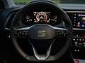 SEAT Ateca Xperience/LED-Matrix/DSG/Beatsaudio/Camera/ACC/XDS Blanc - thumbnail 17