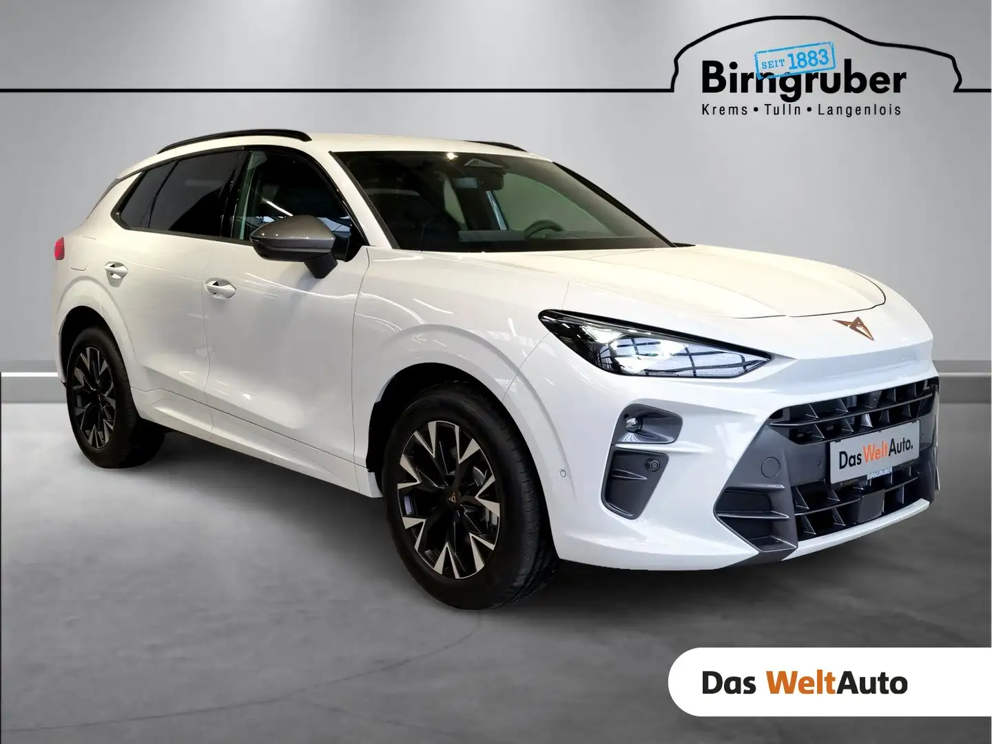 CUPRA Terramar e-HYBRID 204 PS DSG Weiß - 1