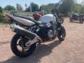 Honda CB 1300 Weiß - thumbnail 8