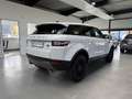 Land Rover Range Rover Evoque AUTOMATIK+KLIMA+ALLWETTER+TÜV Wit - thumbnail 8