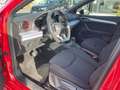 SEAT Ibiza FR Pro Black Edition TSI DSG Navi SHZ Klima Navi Rood - thumbnail 10