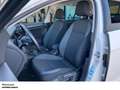 Volkswagen Golf 1.0 TSI Join NAVI PANO SHZ PDC LM ZV E-FENSTER Blanc - thumbnail 15